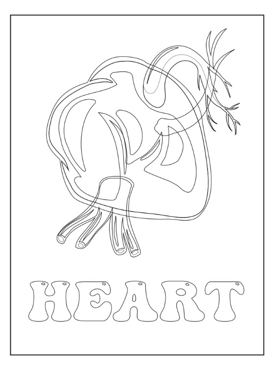 Worksheet sample 6